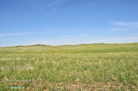 Горы Кармен. Май 2013 года