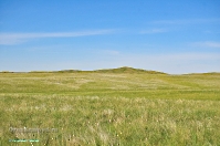 Горы Кармен. Май 2013 года