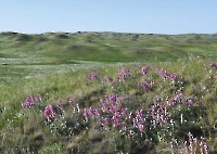 Гирьяльский хребет