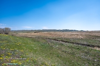 Гирьяльский хребет. Апрель 2025 года