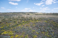 Гирьяльский хребет. Апрель 2025 года