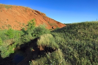 Овраг Блюменталь. Июнь 2012 года