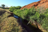 Овраг Блюменталь