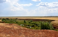 Овраг Консу