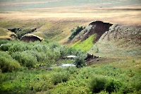 Овраг Консу