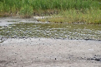 Соленое урочище