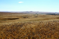 Беляевский район