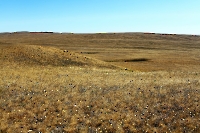 Карстовое поле Жанатаускен. Август 2014 года