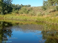 Озеро Круглое в пойме Урала. Август 2023 года