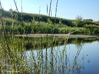 Озеро Круглое в пойме Урала. Август 2023 года