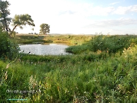 Озеро Круглое в пойме Урала. Август 2023 года