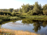 Озеро Круглое в пойме Урала. Август 2023 года