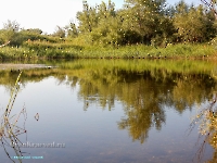 Озеро Круглое в пойме Урала. Август 2023 года