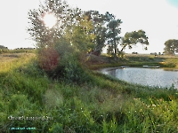 Озеро Круглое в пойме Урала. Август 2023 года