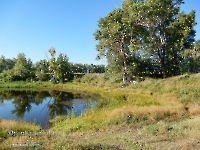 Озеро Круглое в пойме Урала. Август 2023 года