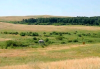 Буртинская степь (участок госзаповедника «Оренбургский»)