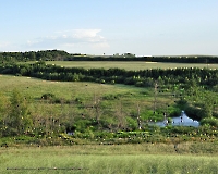 Буртинская степь (участок госзаповедника «Оренбургский»)