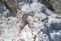 Лещевский разрез. Апрель 2025 года