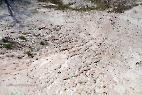 Лещевский разрез. Апрель 2025 года