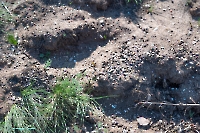 Лещевский разрез. Апрель 2025 года