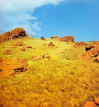 Ишмуратовские дайки