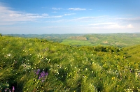 Заповедник «Шайтантау»