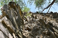 Разрез Никольский