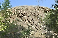 Разрез Никольский