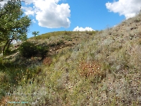 Разрез Никольский. Август 2023 года