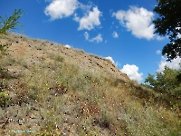 Кувандыкский район