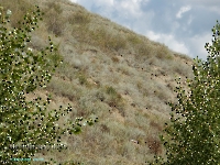 Разрез Никольский. Август 2023 года