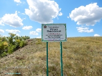 Разрез Никольский. Август 2023 года