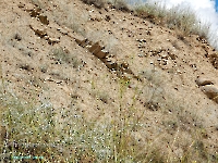 Разрез Никольский. Август 2023 года