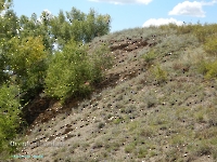 Разрез Никольский. Август 2023 года