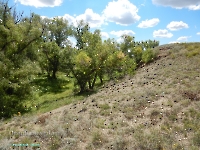 Разрез Никольский. Август 2023 года