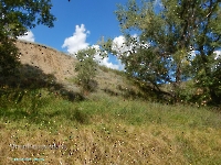 Разрез Никольский. Август 2023 года