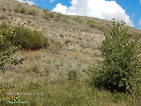 Разрез Никольский. Август 2023 года