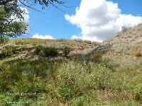 Разрез Никольский. Август 2023 года