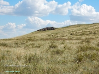 Гора Тагиртау. Август 2023 года