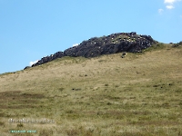 Гора Тагиртау. Август 2023 года