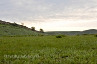 Шапка Мономаха. Май 2013 года