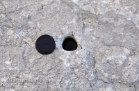 Шапка Мономаха. Май 2013 года