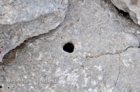 Шапка Мономаха. Май 2013 года