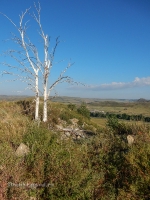  Гора Тырмантау