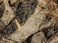  Гора Тырмантау