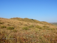  Гора Тырмантау