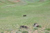 Гора Буркутбай