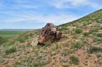 Гора Буркутбай