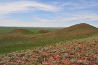 Гора Буркутбай