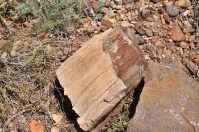 Гора Буркутбай